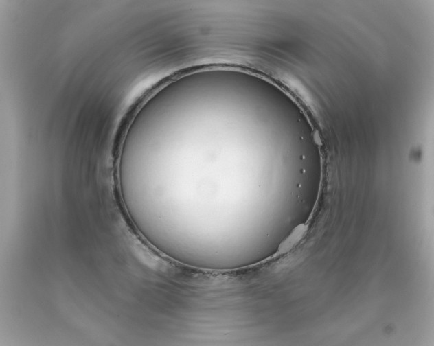 X0000090461072200707272232