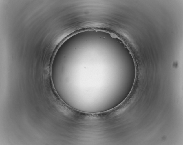 X0000090461073200707272232