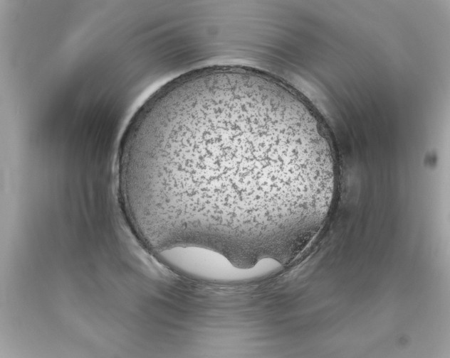 X0000090461076200707272232