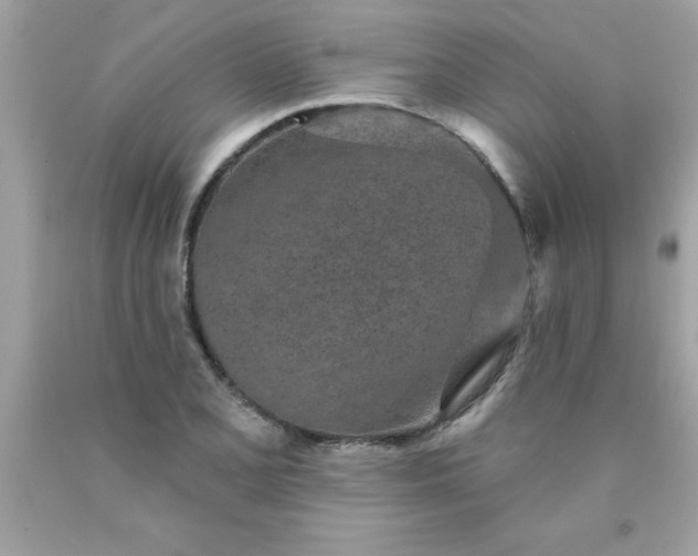 X0000090461077200707272232