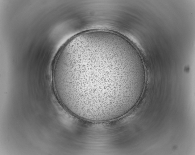 X0000090461078200707272232