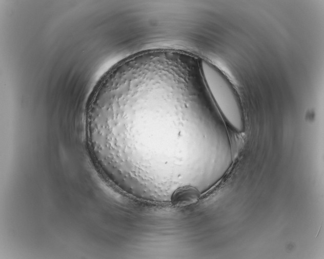 X0000090461079200707272232