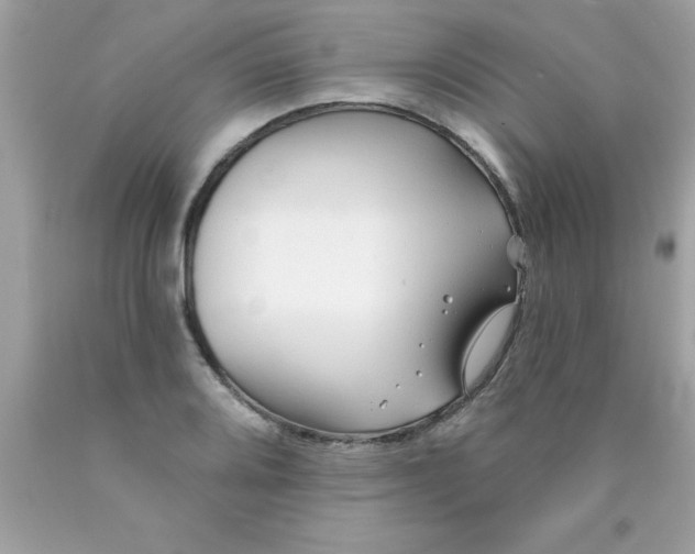 X0000090461080200707272232