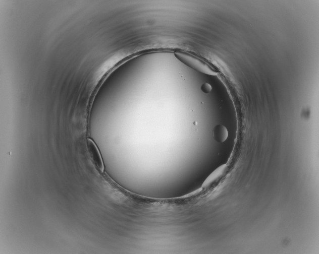 X0000090461081200707272232