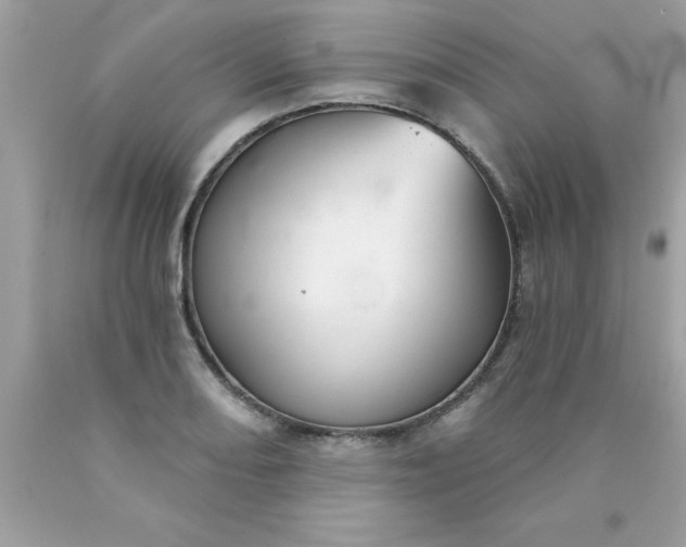 X0000090461082200707272232