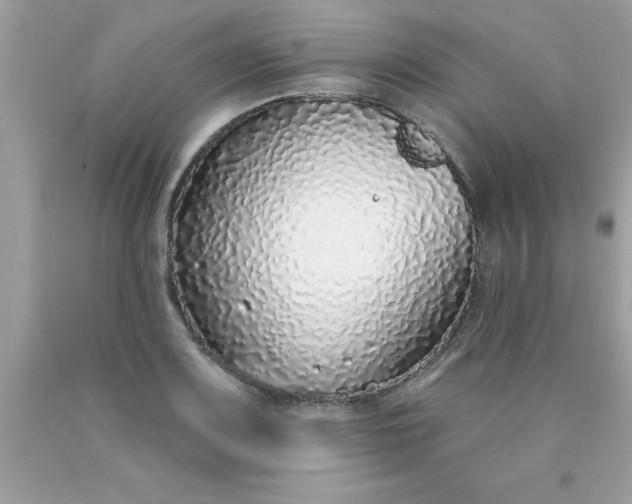 X0000090461083200707272232