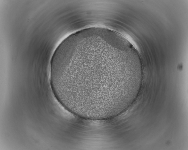 X0000090461084200707272232