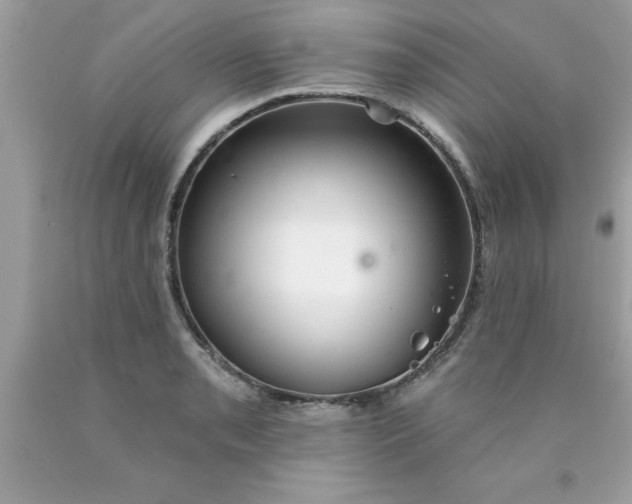 X0000090461085200707272232