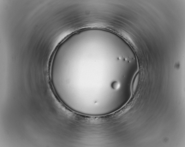 X0000090461087200707272232