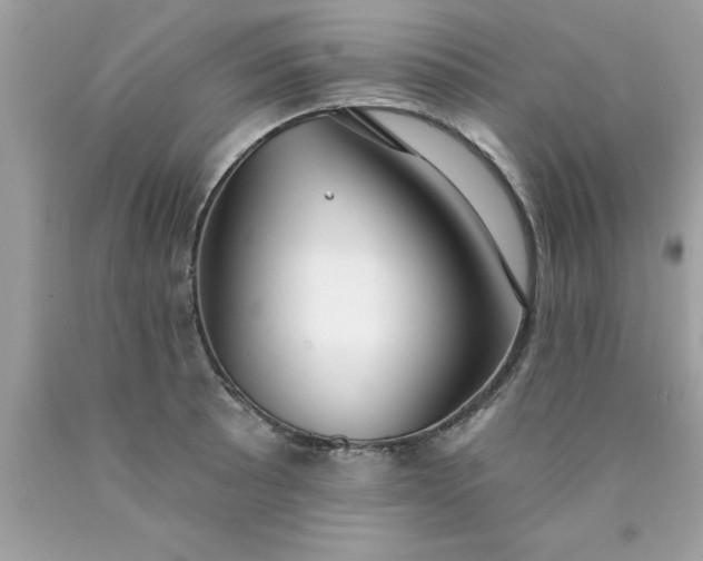 X0000090461089200707272231