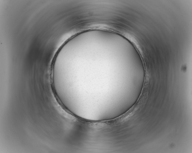 X0000090461090200707272231