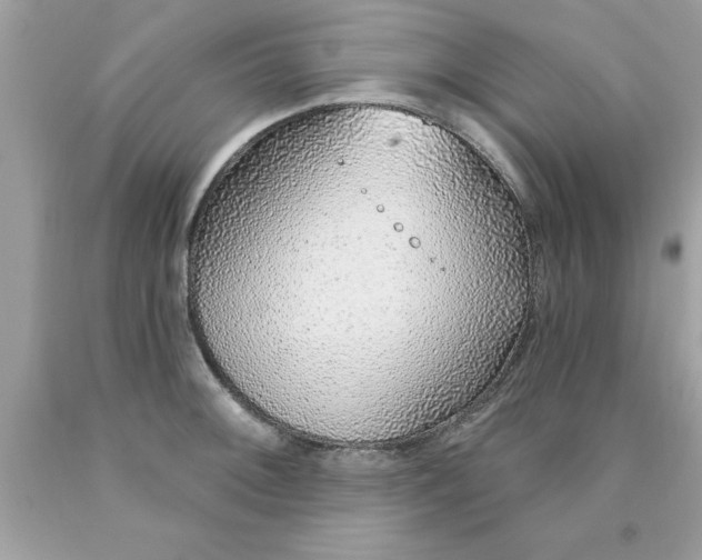 X0000090461092200707272231
