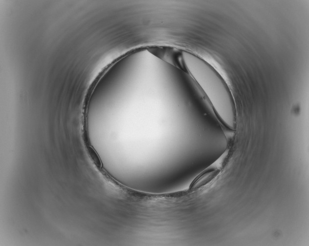 X0000090461093200707272231