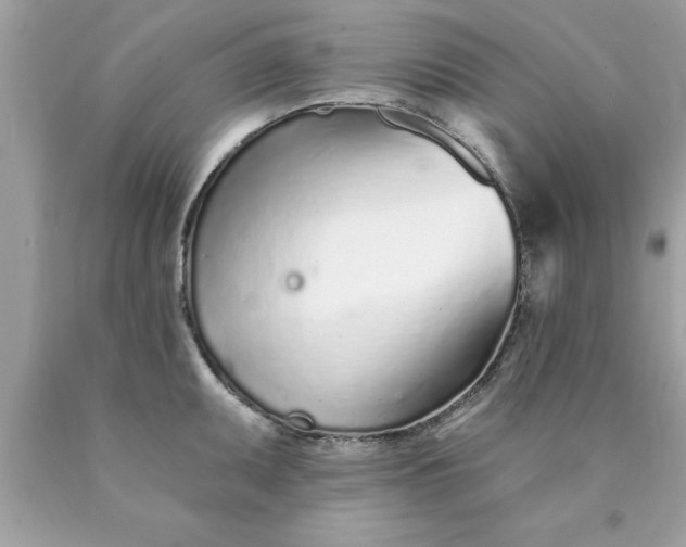 X0000090461095200707272231