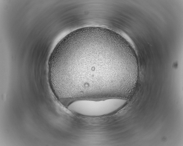 X0000090461096200707272231