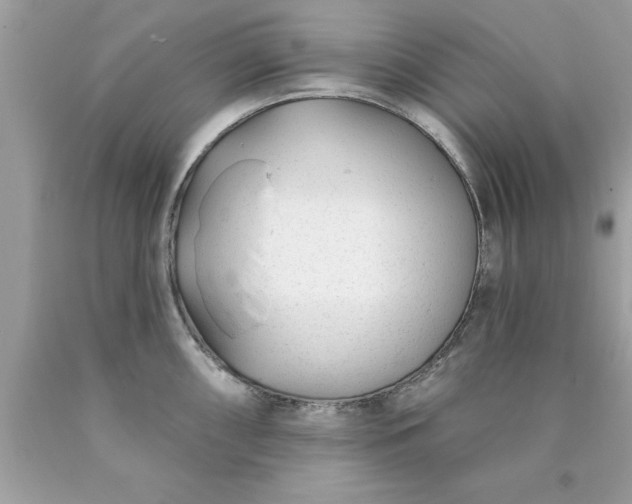 X0000090461098200707272231