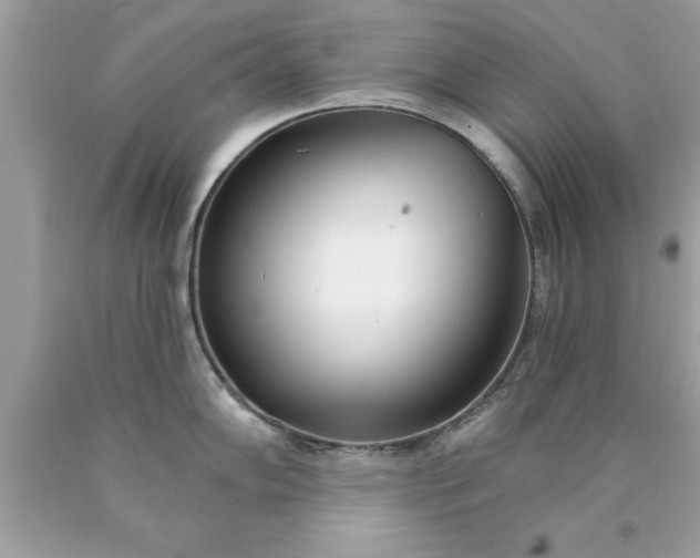 X0000090461102200707272231