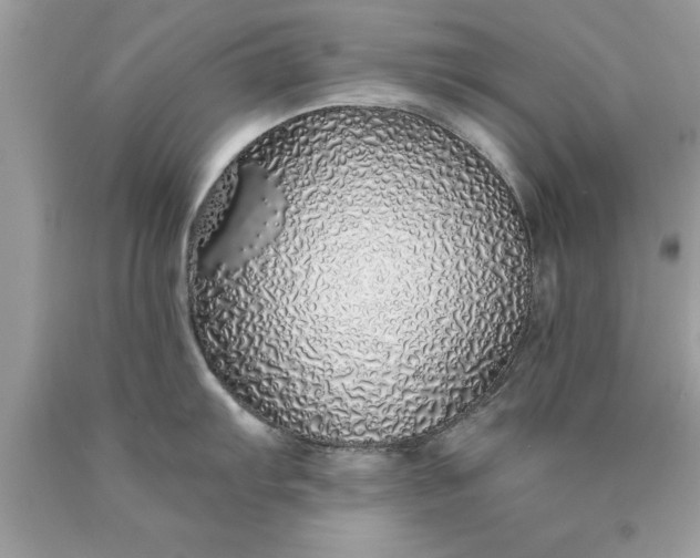 X0000090461103200707272231