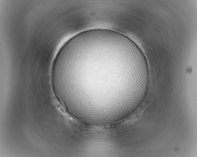 X0000090461104200707272231