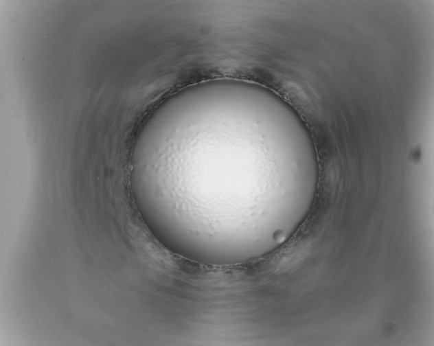 X0000090461105200707272231