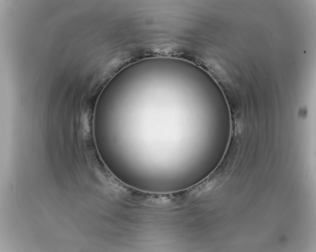 X0000090461106200707272231