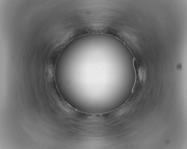 X0000090461107200707272231