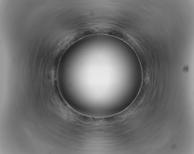 X0000090461108200707272231