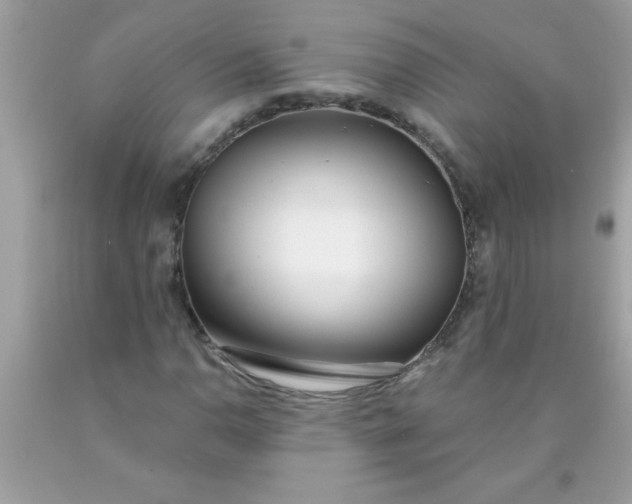 X0000090461110200707272231