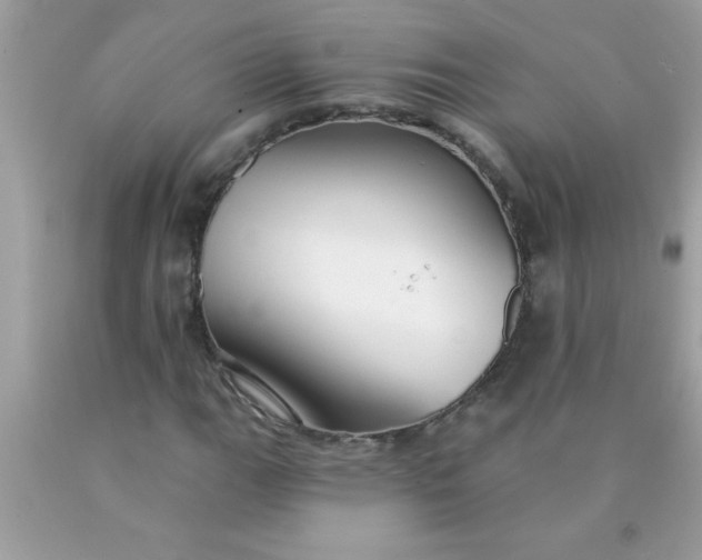 X0000090461111200707272231