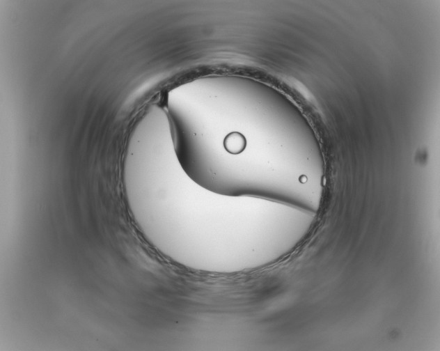 X0000090461112200707272231