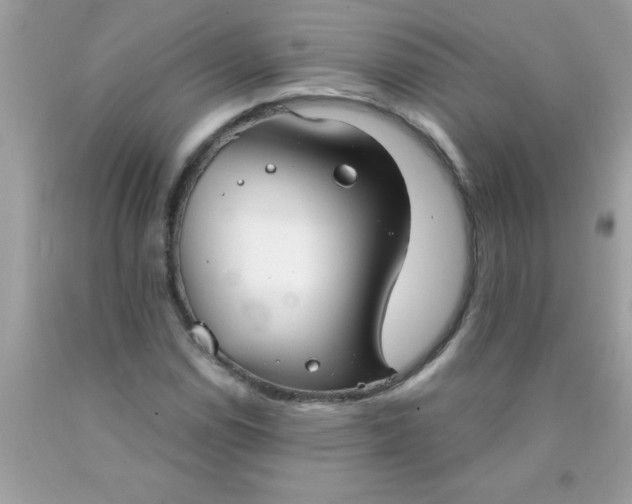 X0000090461114200707272231