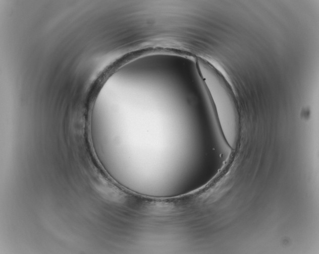 X0000090461115200707272231