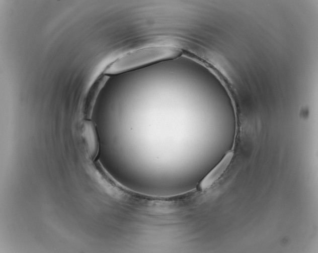 X0000090461116200707272231