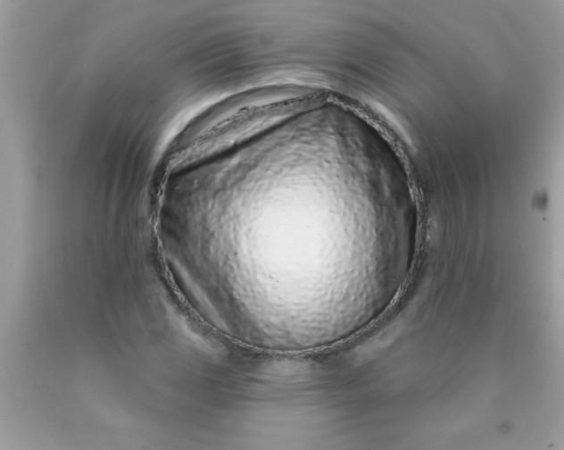X0000090461117200707272231