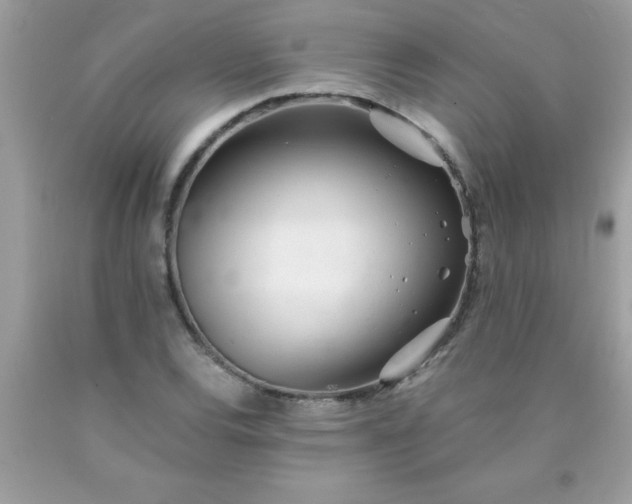 X0000090461120200707272231