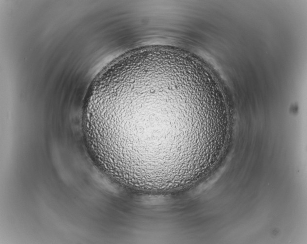 X0000090461121200707272231