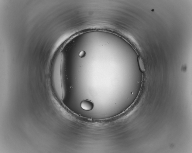 X0000090461122200707272231
