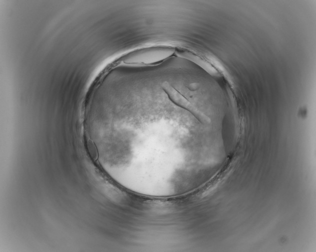 X0000090461124200707272231