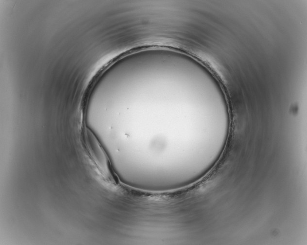 X0000090461125200707272231