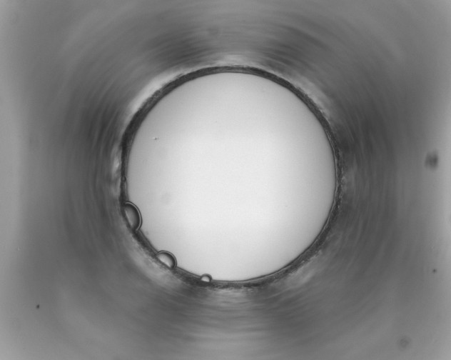 X0000090461126200707272231