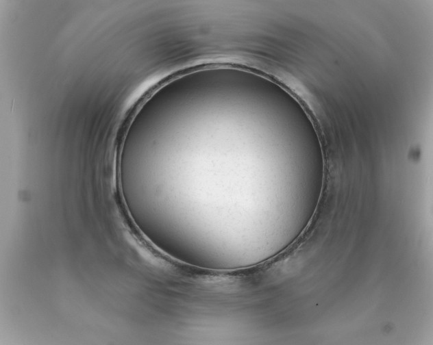 X0000090461127200707272231