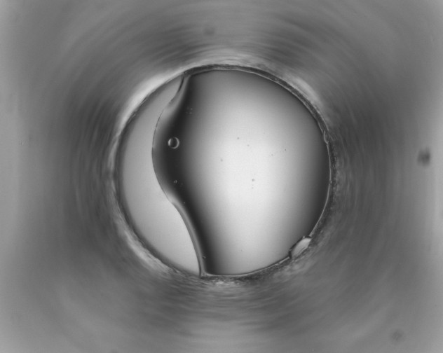 X0000090461128200707272231