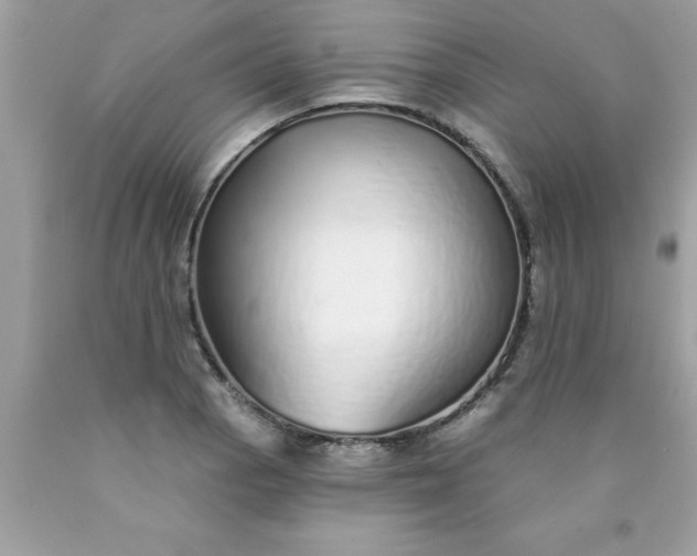 X0000090461129200707272231