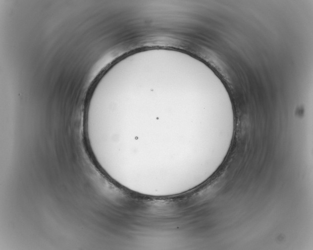 X0000090461130200707272231