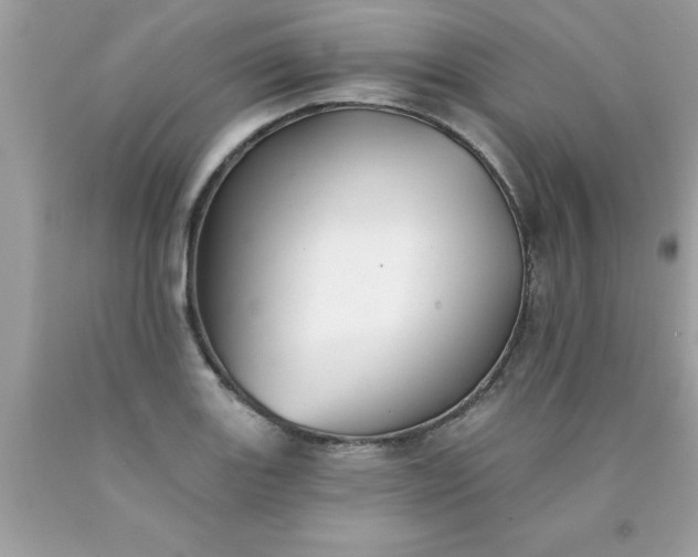 X0000090461131200707272231