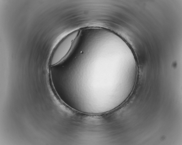X0000090461133200707272231