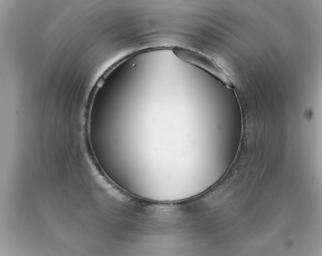 X0000090461134200707272231