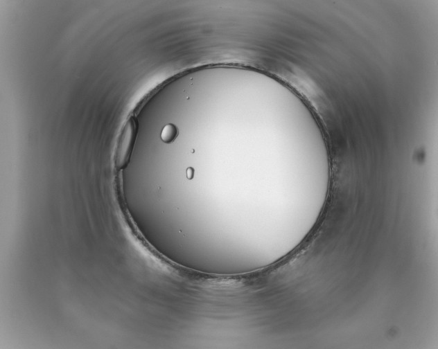 X0000090461135200707272231