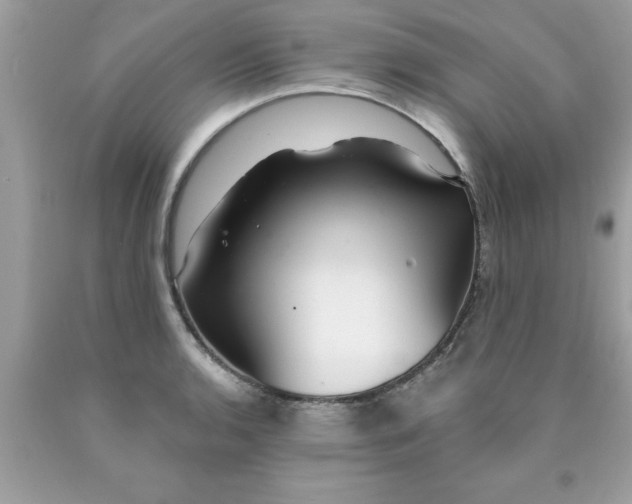 X0000090461136200707272231
