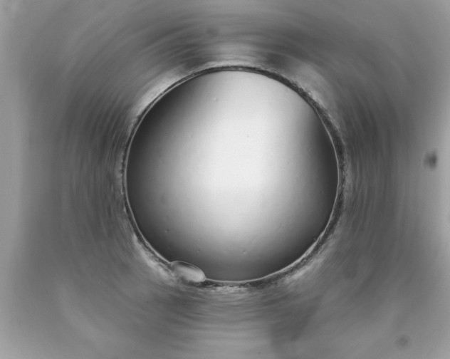 X0000090461137200707272231